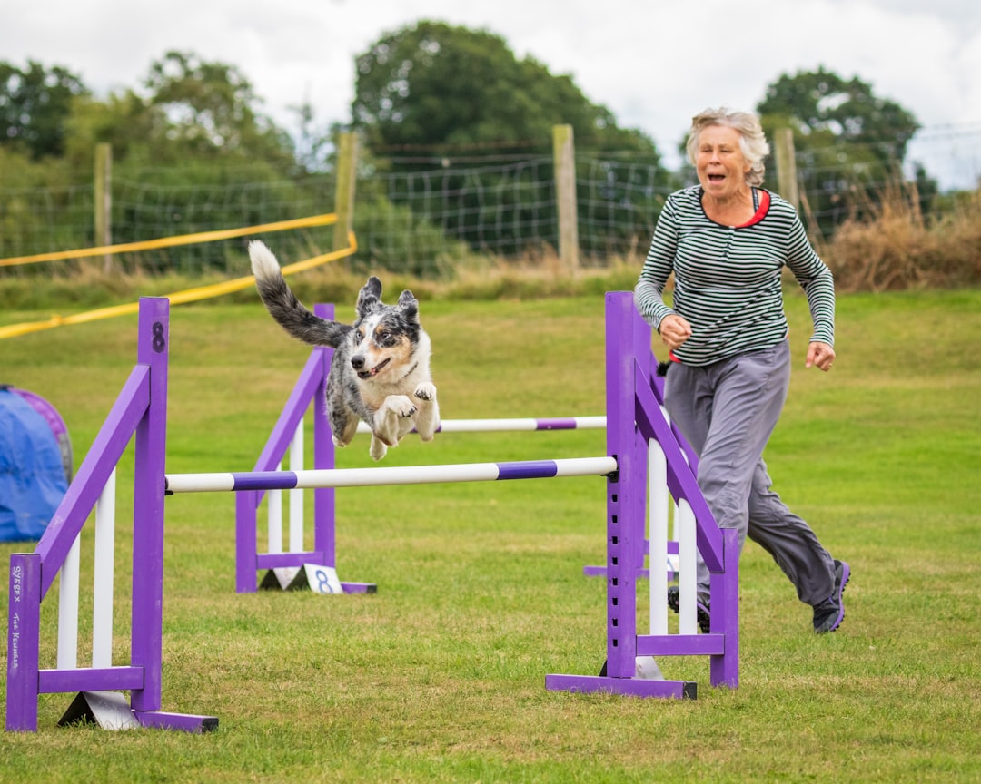 Shoulder Injuries in Working Dogs: Biceps Tenosynovitis and Beyond